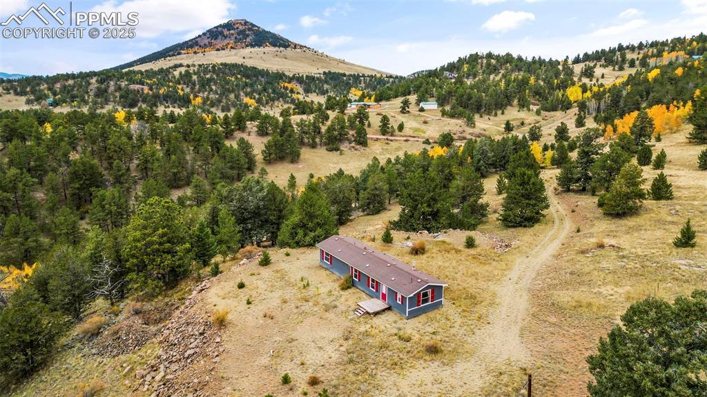 406 Burns Dr., Cripple Creek, CO 80813
