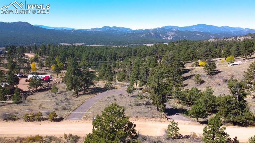 187 Circle Dr., Florissant, CO 80816
