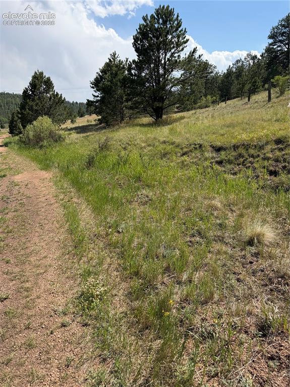 39 Rabbil Creek Tr., Florissant, CO 80816