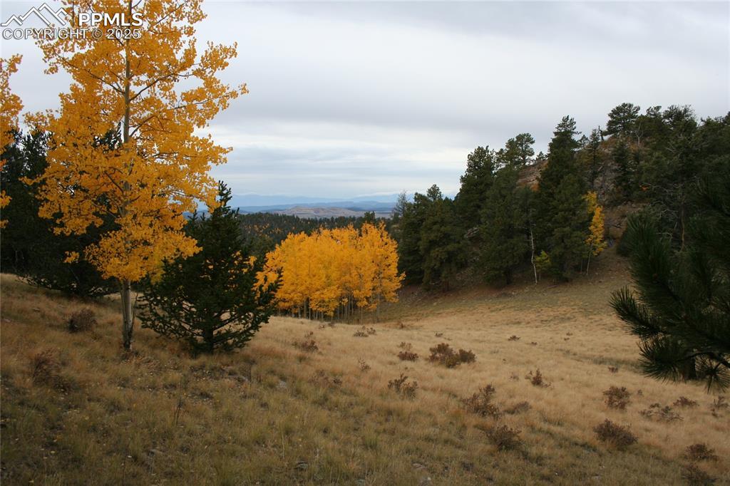 812 Burns Dr., Cripple Creek, CO 80813