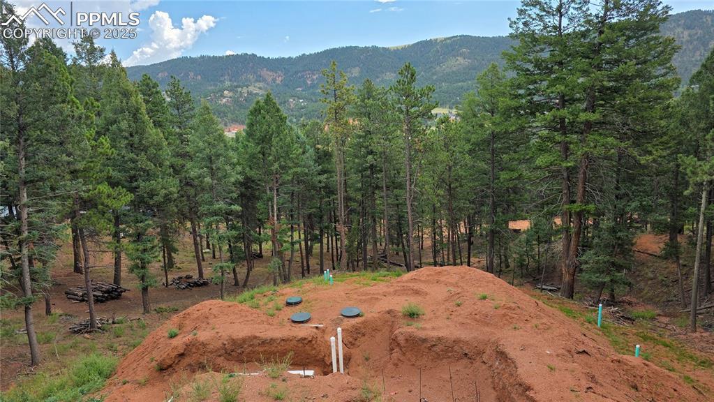 370 Summer Haven Dr., Woodland Park, CO 80863