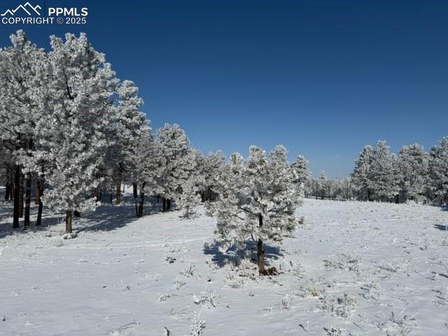 12180 Goodson Rd., Colorado Springs, CO 80908