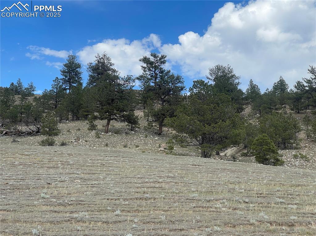 00 Lakeview Dr., Hartsel, CO 80449