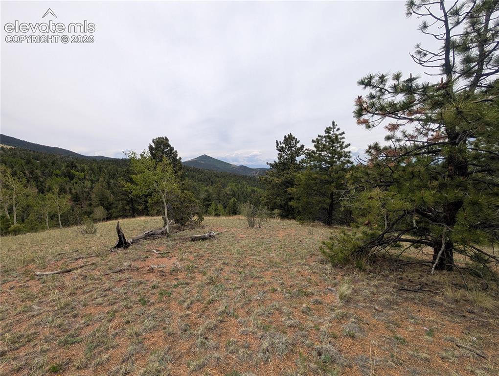 16 Princess Ln., Cripple Creek, CO 80813