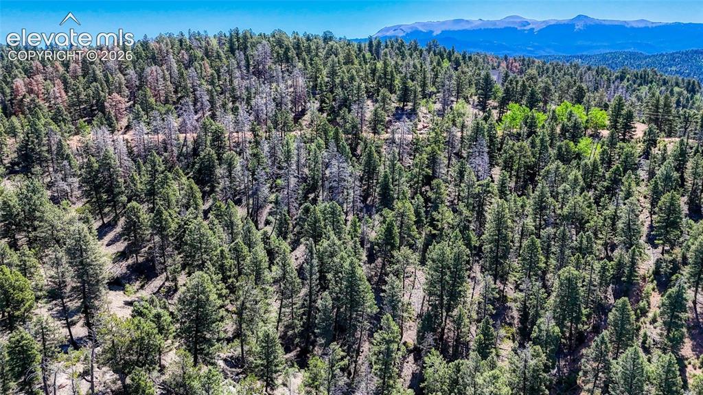 3454 N Mountain Estates Rd., Florissant, CO 80816