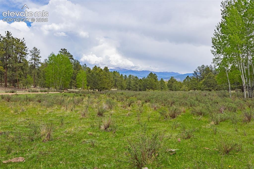 4250 Doe Valley Rd., Guffey, CO 80820