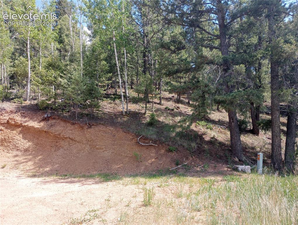 138 Glenwood Ln., Woodland Park, CO 80863