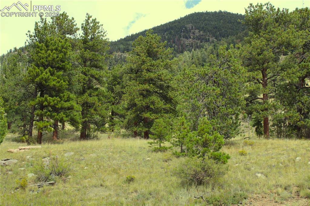 Highway 24, Hartsel, CO 80827