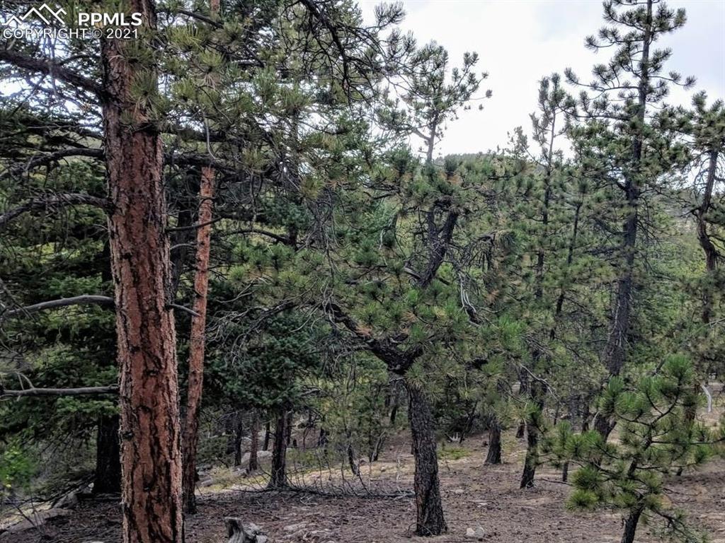 628 Crescent Lake Rd., Golden, CO 80403