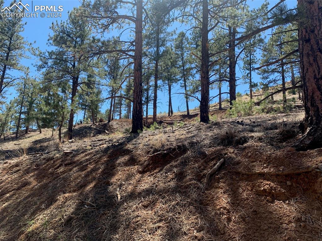 15421 Westcreek Rd., Woodland Park, CO 80863