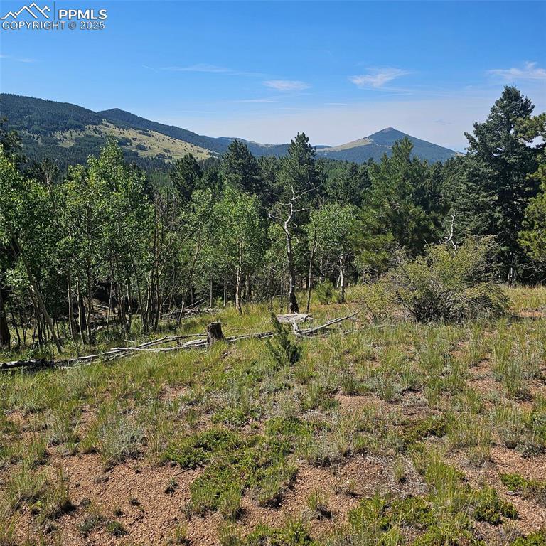 1398 May Queen Dr., Cripple Creek, CO 80813