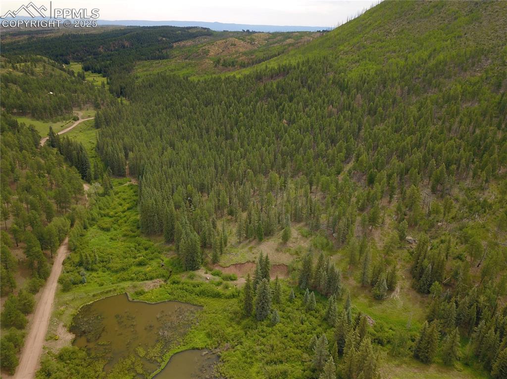 10223 Trail Creek Rd., Florissant, CO 80816