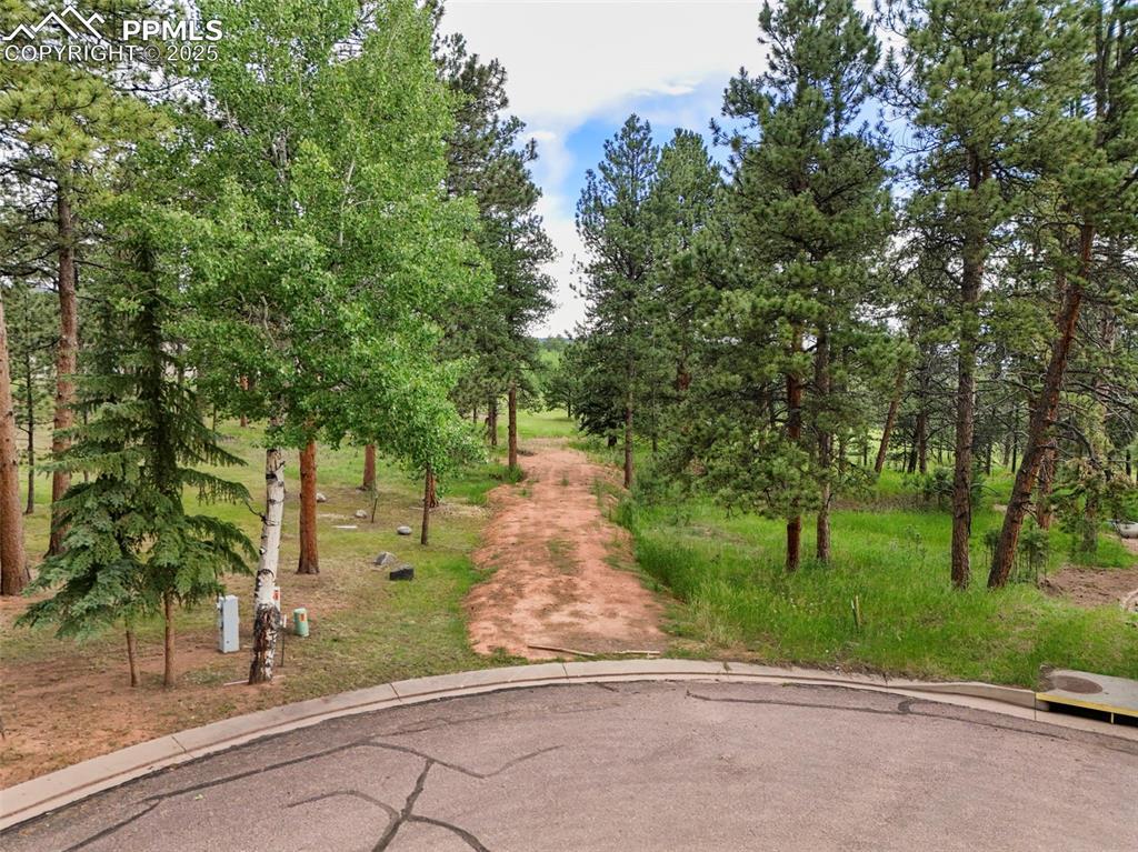 220 Wildrose Ct., Woodland Park, CO 80863