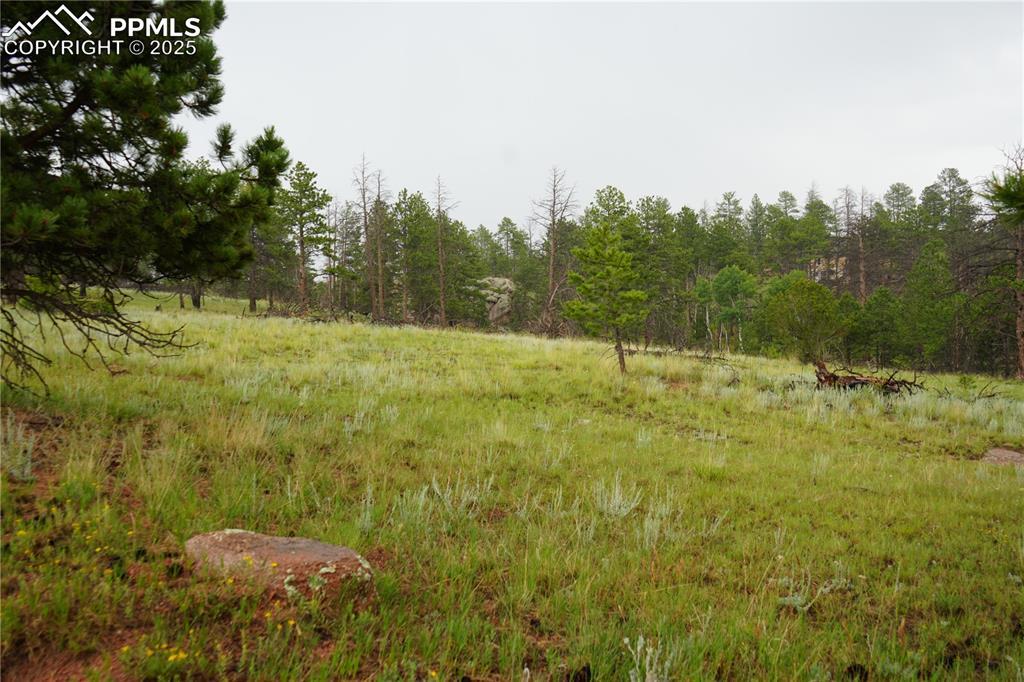 308 Chapparal Tr., Florissant, CO 80816