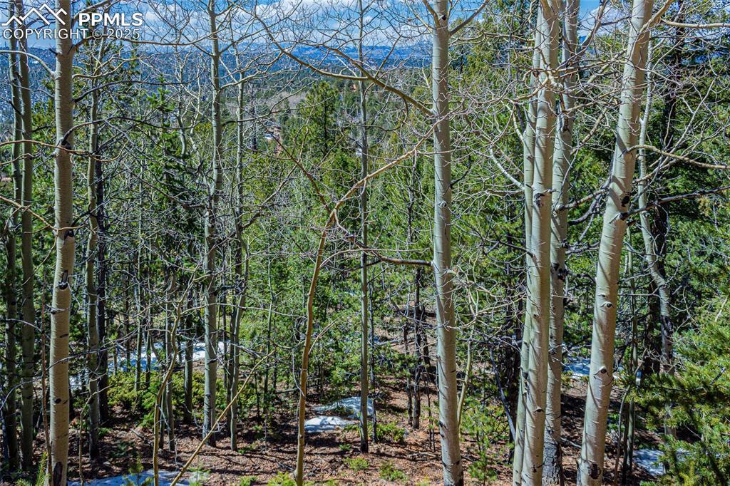 336 Witherite Dr., Divide, CO 80814