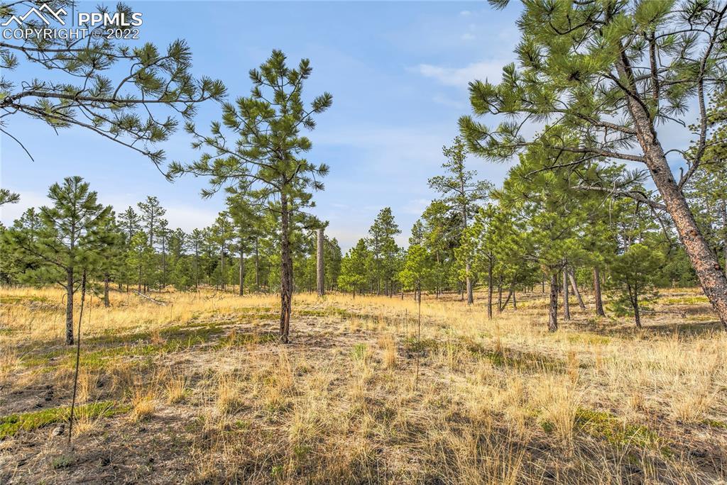 14470 Millhaven Pl., Colorado Springs, CO 80908