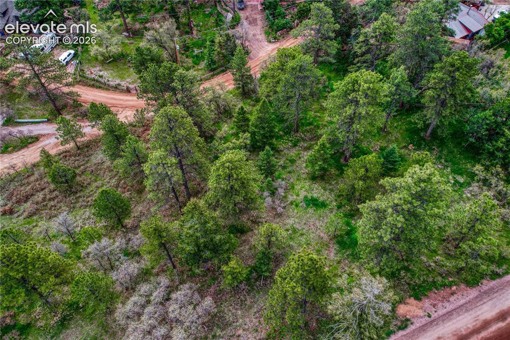 Buena Vista Ave., Palmer Lake, CO 80133