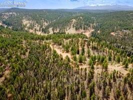 93 Kiowa Creek Tr., Florissant, CO 80816
