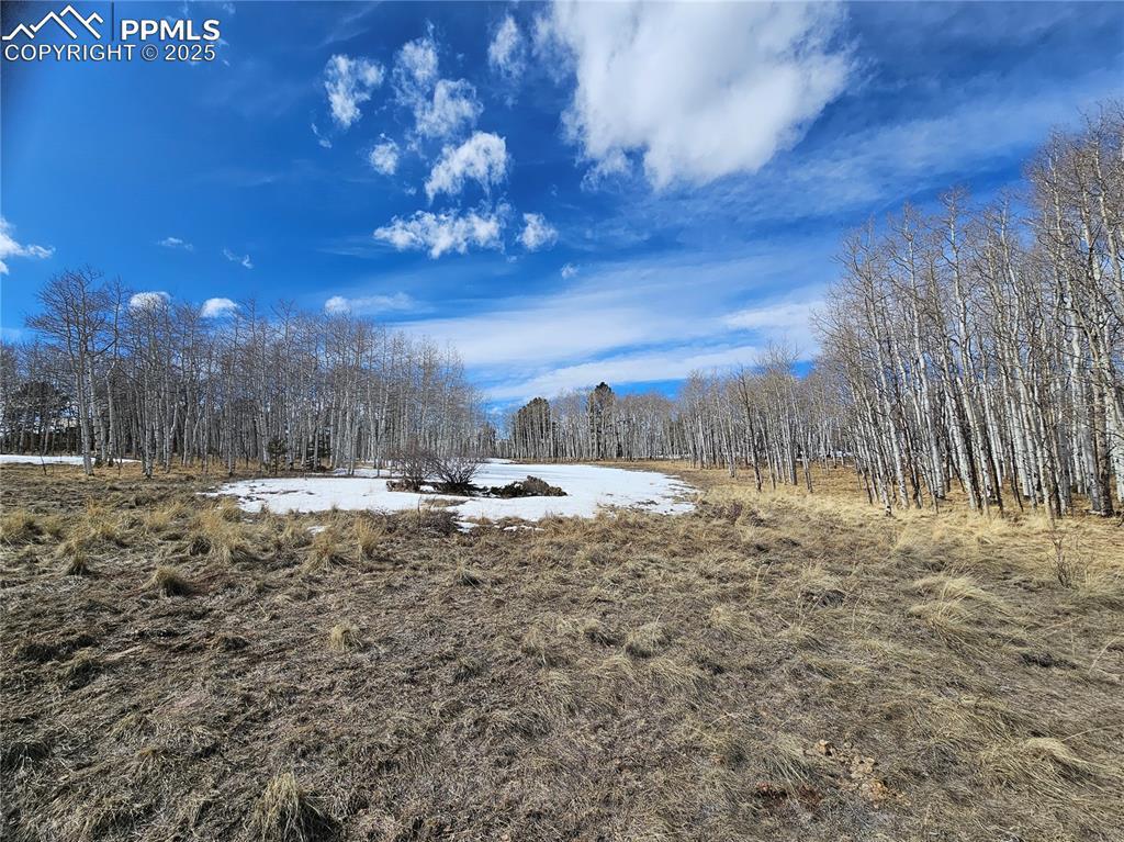 417 Aspen Way St., Florissant, CO 80816