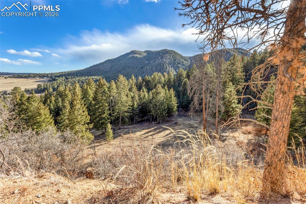 Mountain Ranch Rd., Larkspur, CO 80118