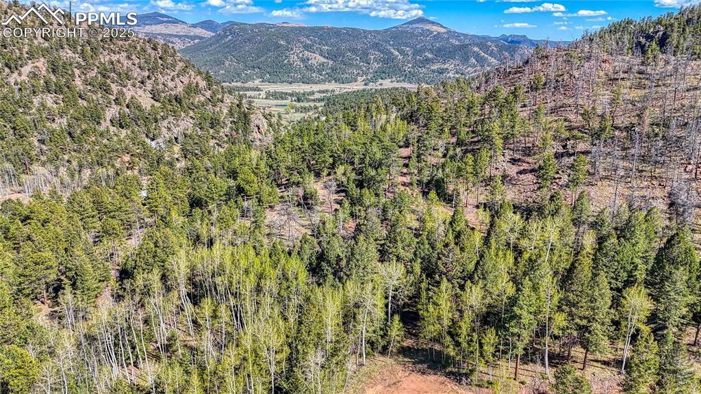 56 Fir Ln., Florissant, CO 80816