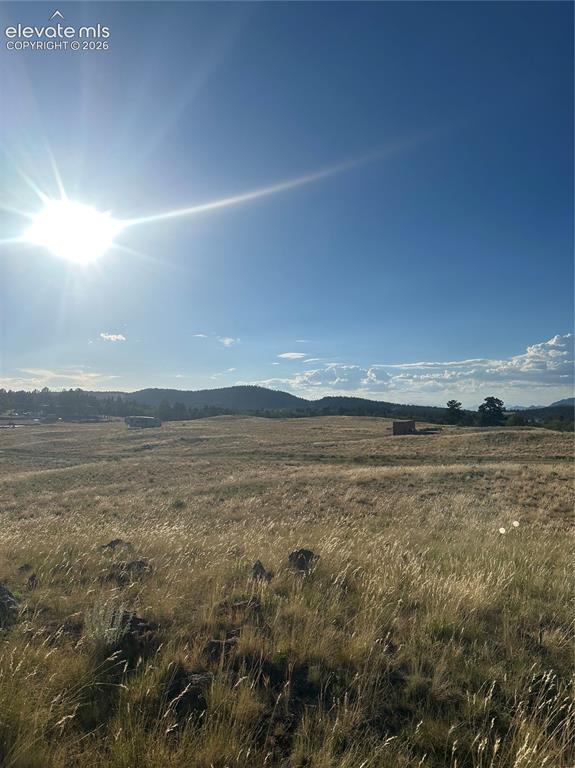 290 Castle Mountain Dr., Florissant, CO 80816