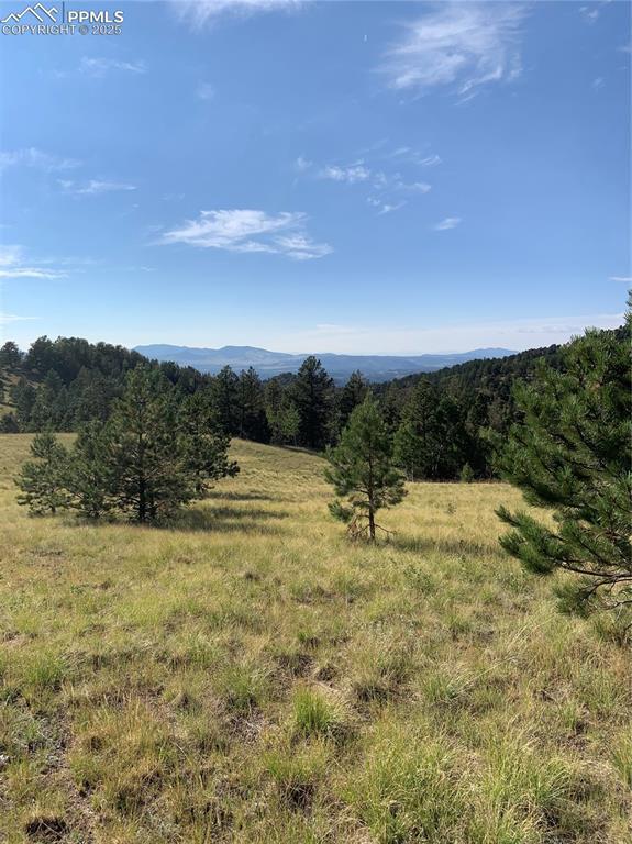 908 Penrose Cir., Cripple Creek, CO 80813