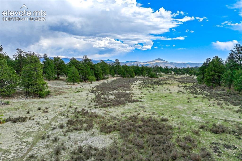 Tract 103 Doe Valley Rd., Guffey, CO 80820