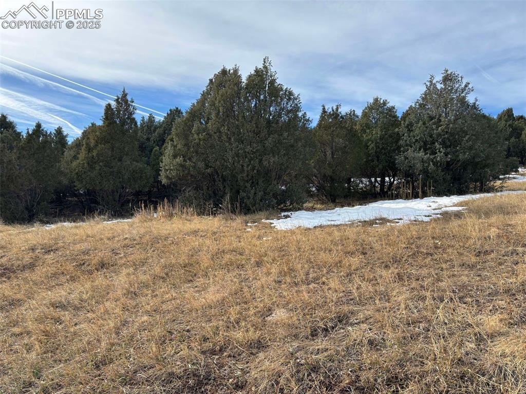 4215 Cedar Heights Dr., Colorado Springs, CO 80904