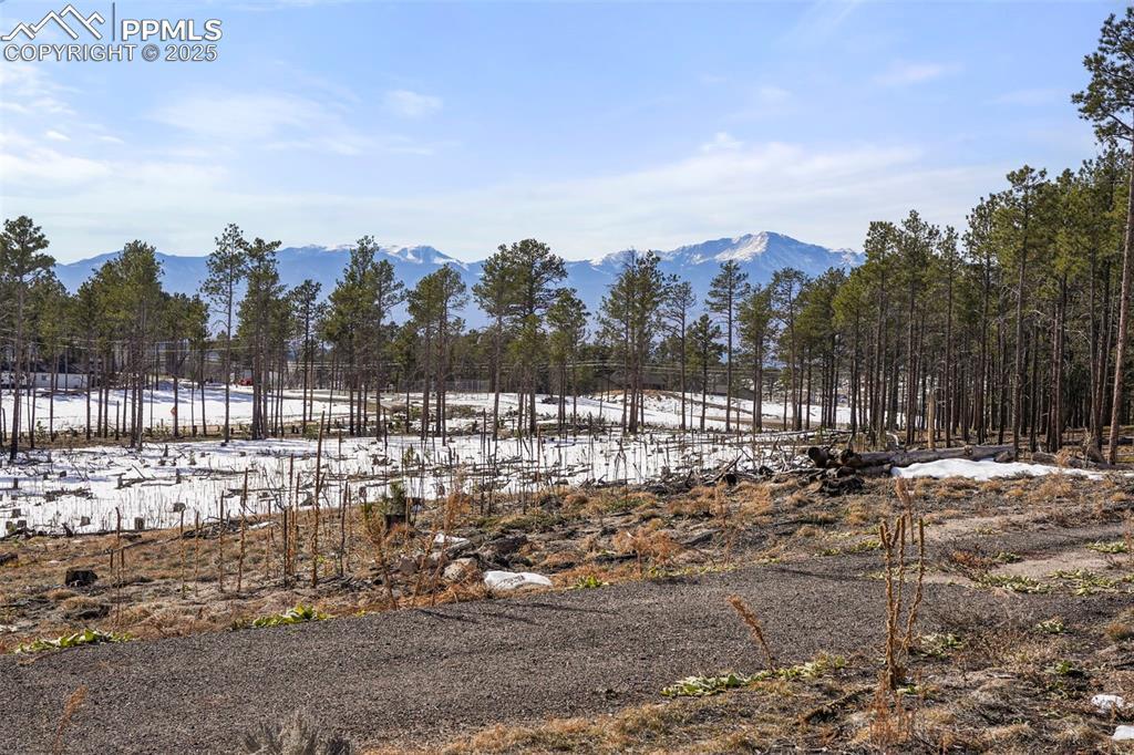 02 Wyandott Dr., Colorado Springs, CO 80908