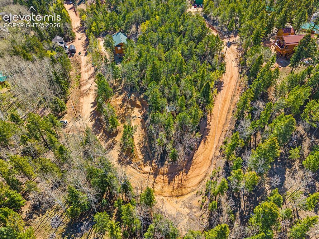 413 Wakanda Tr., Woodland Park, CO 80863