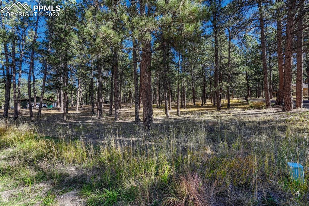 18165 Woodhaven Dr., Colorado Springs, CO 80908