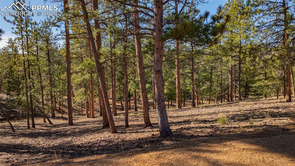 113 Schmittel Dr., Sedalia, CO 80135