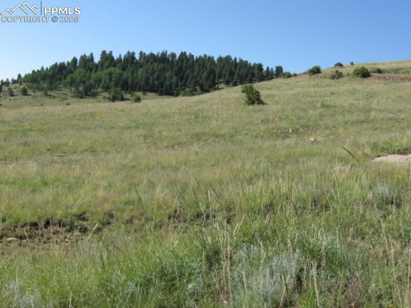 Lots 3-4 Shideler Ave., Cripple Creek, CO 80813