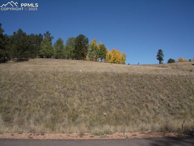 307 Pinaceae Heights, Divide, CO 80814
