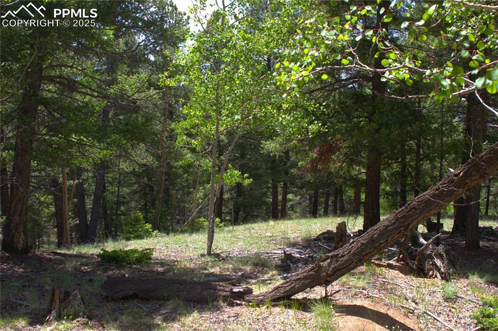 185 Cherry Lake Dr., Divide, CO 80814