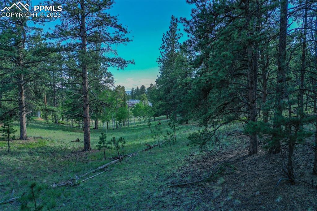 126 Kiowa Way, Florissant, CO 80816