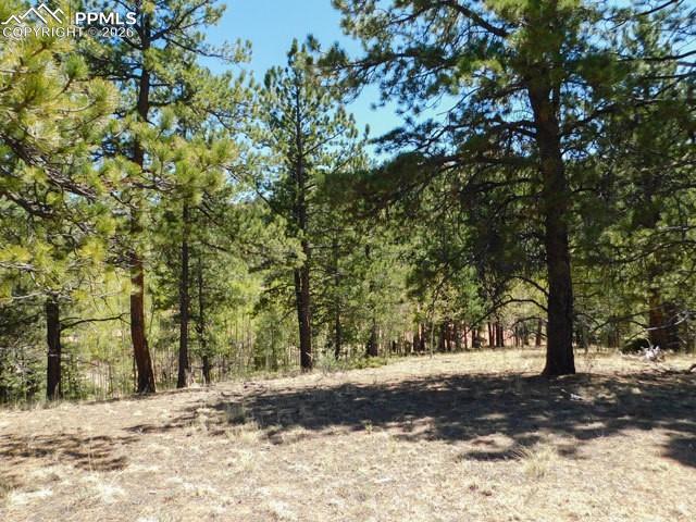 51 Mariposa Dr., Cripple Creek, CO 80813