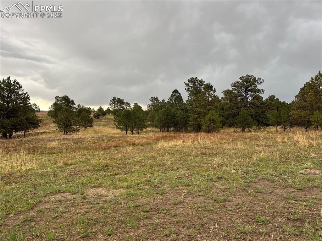 11535 Bison Meadows Ct., Colorado Springs, CO 80908