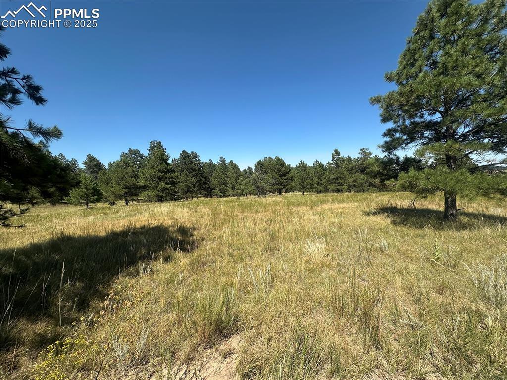 10385 Alamar Way, Colorado Springs, CO 80908