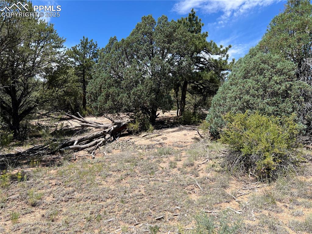 216 West View Rd., Cotopaxi, CO 81223
