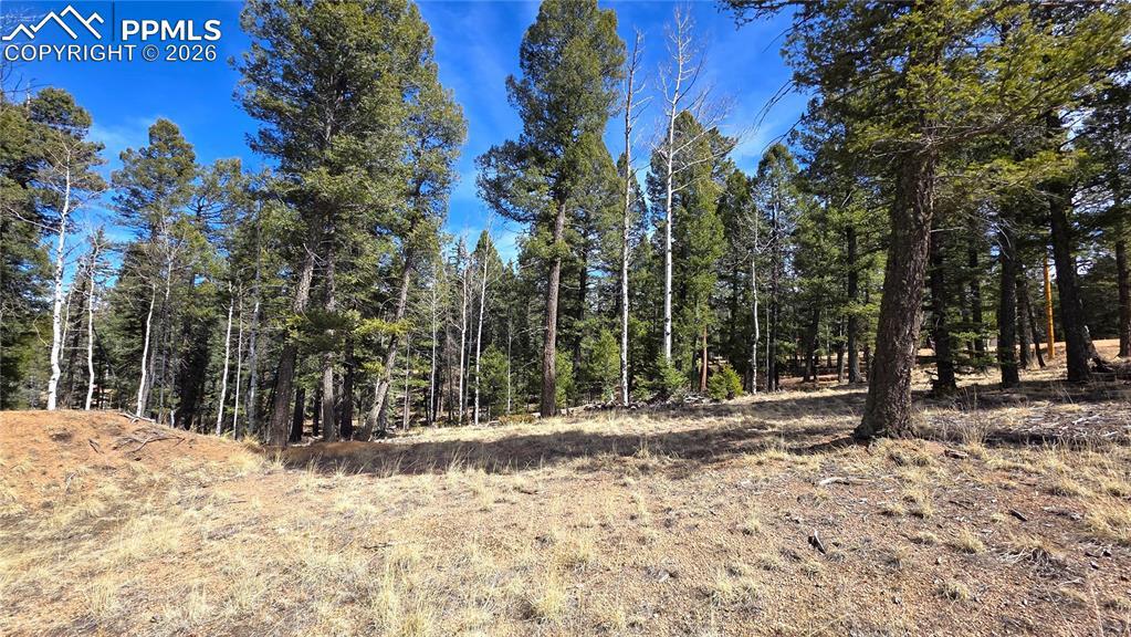 19 Serenity Cir., Florissant, CO 80816