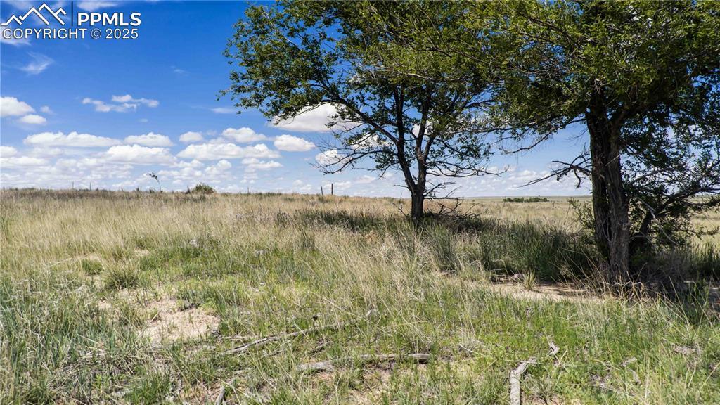 39320 Truckton Rd., Rush, CO 80833