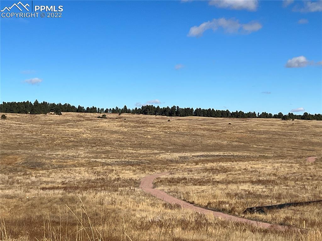 16638 Winsome Way, Colorado Springs, CO 80908