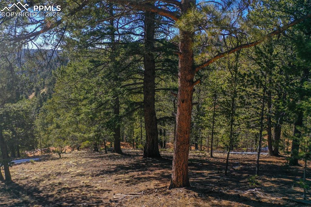 507 Horseshoe Dr., Divide, CO 80814