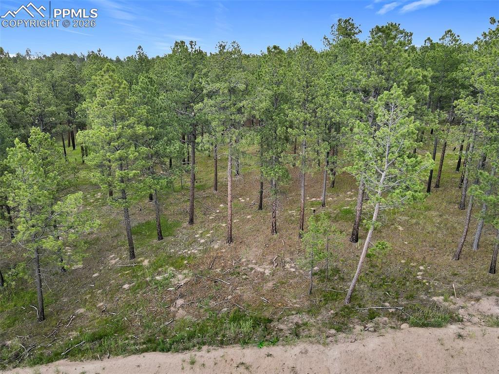 14983 Bourbon Ct., Colorado Springs, CO 80908