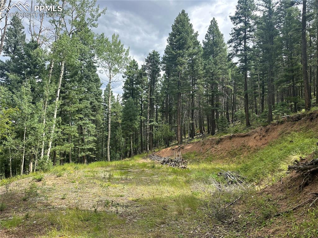 272 Fern Valley Rd., Manitou Springs, CO 80829