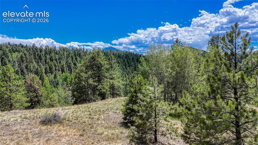 218 Princess Rd., Cripple Creek, CO 80813