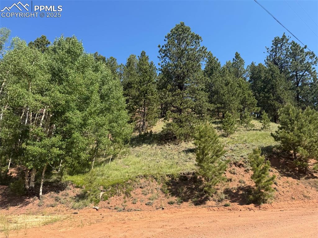 281 Pikes Peak Dr., Divide, CO 80814