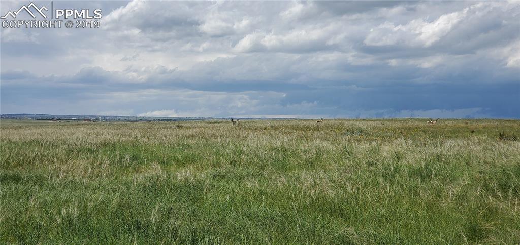 7345 Buckskin Ranch View, Peyton, CO 80831